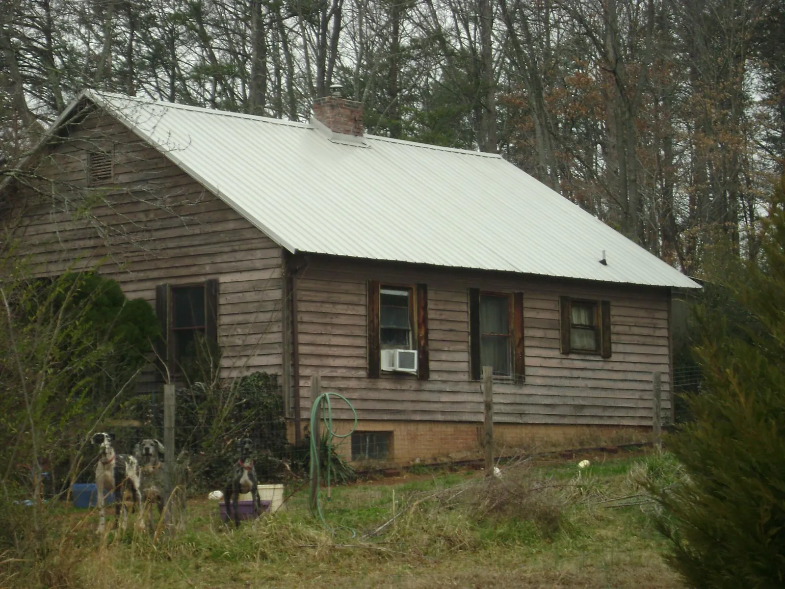 White metal roof on an old wood sided farmhouse, from a Metal Roof Installation job in Sumterville